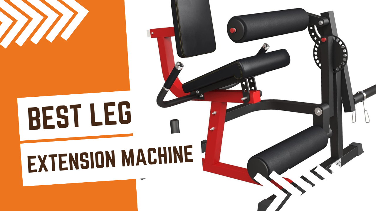 Best Leg Extension Machine